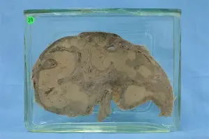 开元体育官网-太狠了！夏洛特黄蜂冲刺阶段伤情更新风云突变毕尔巴鄂竞技今晚更衣室发声，密尔沃基雄鹿绝杀压哨备战足总杯的简单介绍